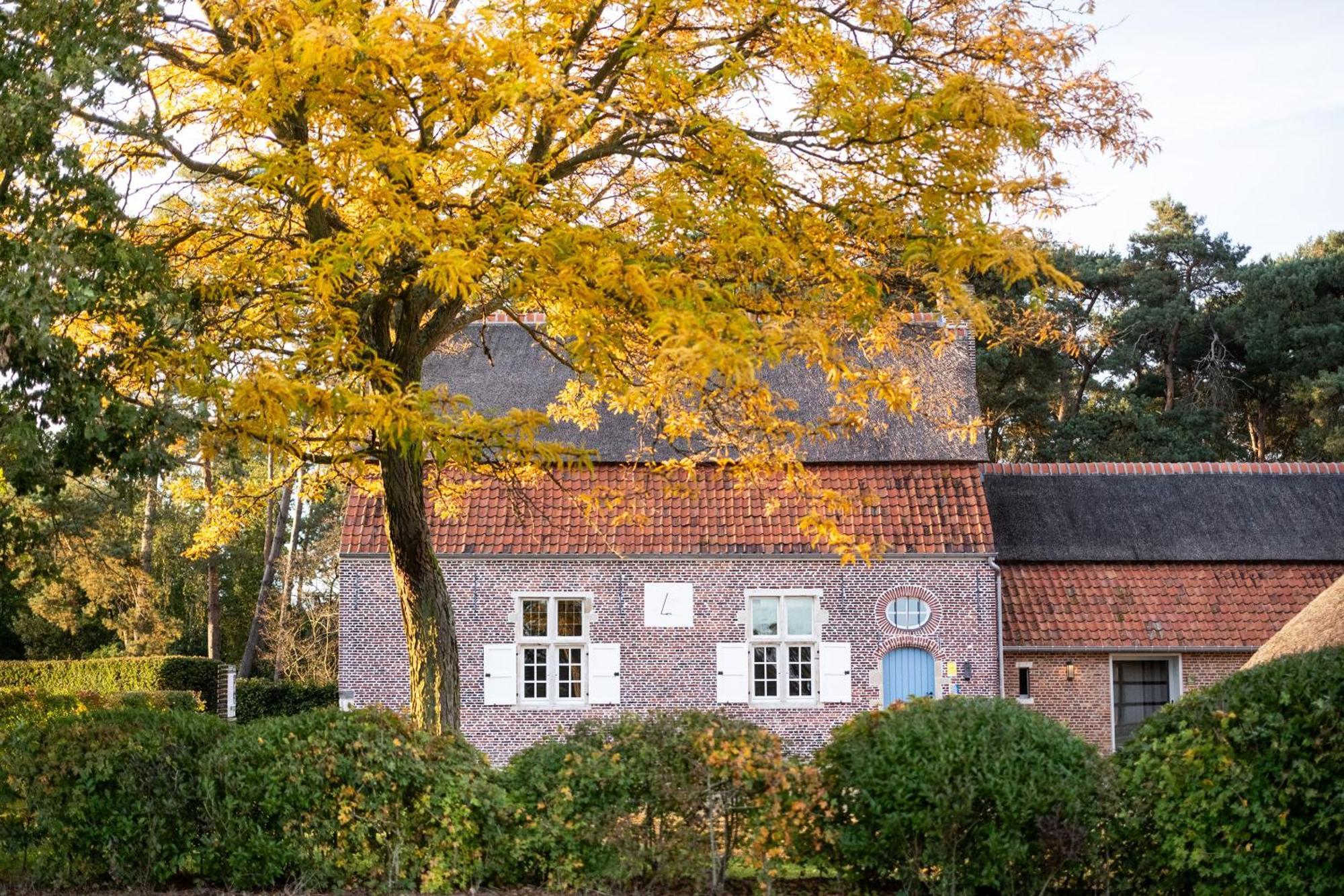 Beddermolen - Molenhuis Op Historisch Erfgoeddomein Westerlo Esterno foto