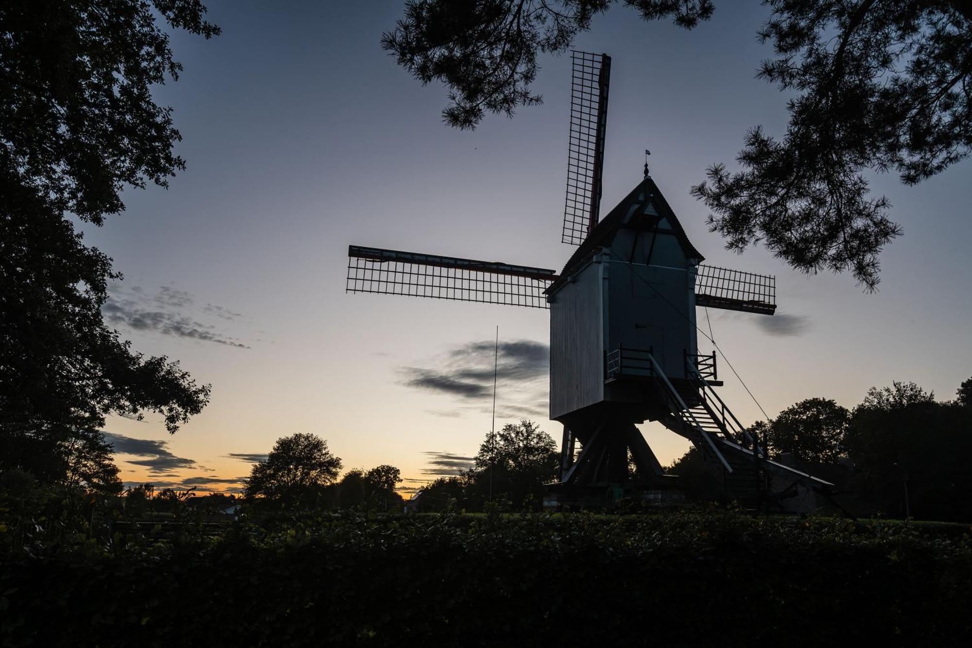 Beddermolen - Molenhuis Op Historisch Erfgoeddomein Westerlo Esterno foto